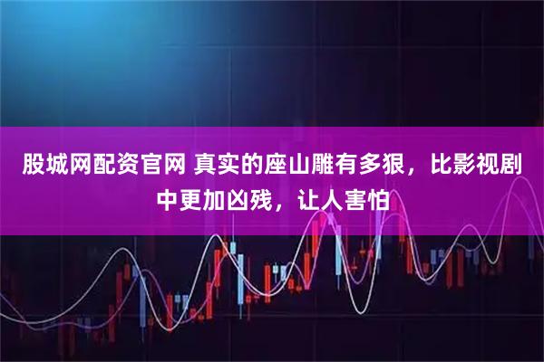 股城网配资官网 真实的座山雕有多狠，比影视剧中更加凶残，让人害怕