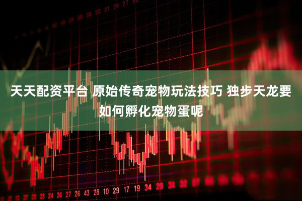 天天配资平台 原始传奇宠物玩法技巧 独步天龙要如何孵化宠物蛋呢