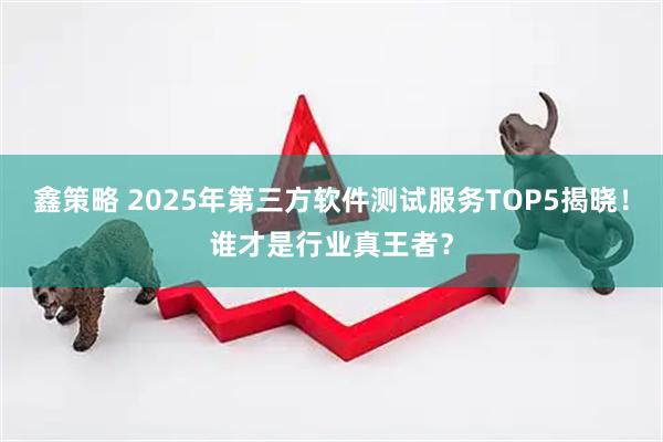 鑫策略 2025年第三方软件测试服务TOP5揭晓！谁才是行业真王者？